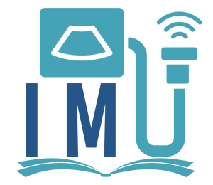 IMU